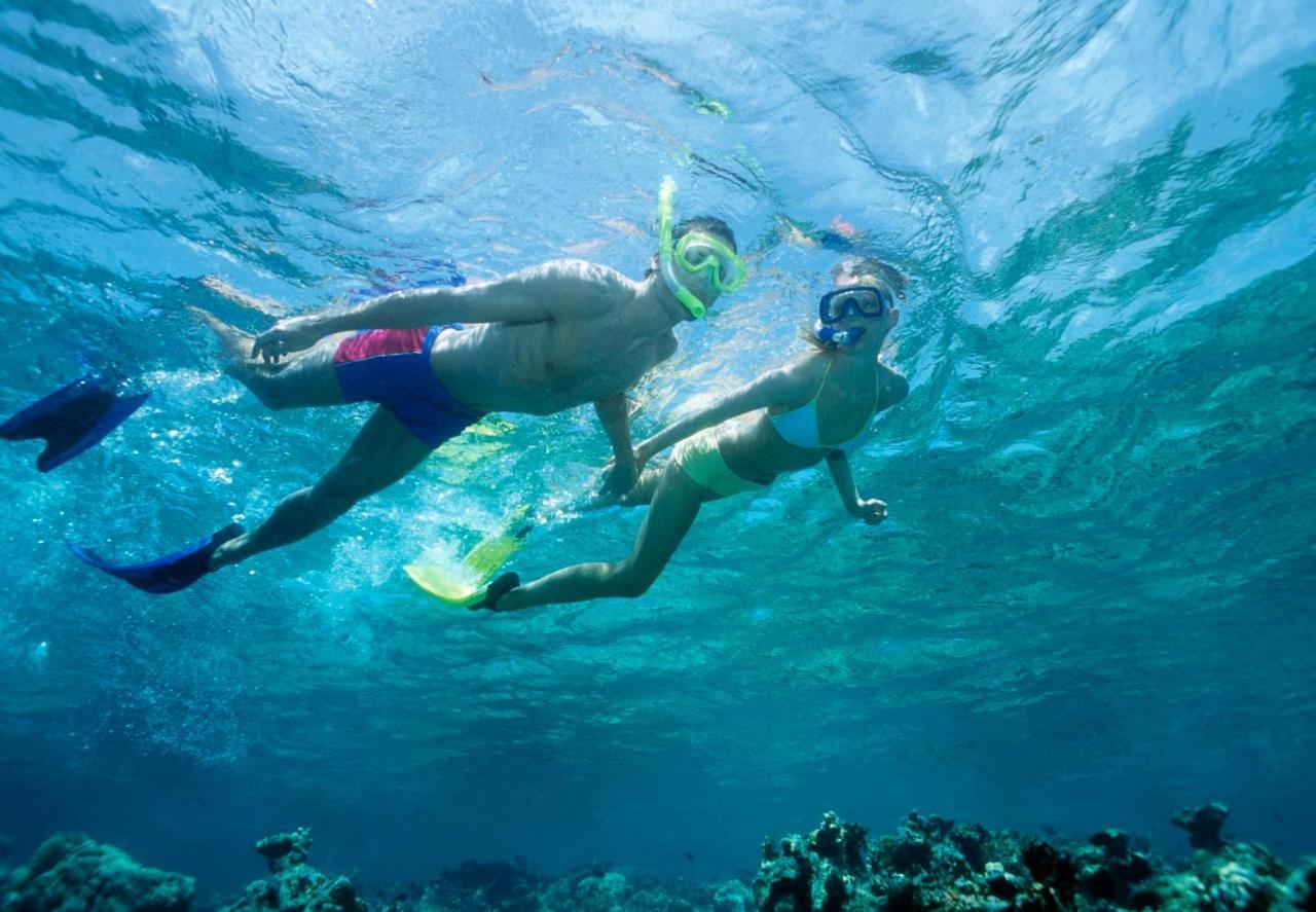 فندق نيكوجافي  Cielo Del Mar المظهر الخارجي الصورة